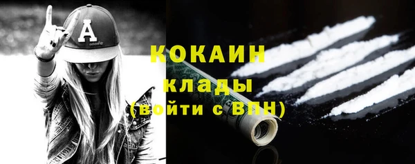 шишки Аркадак