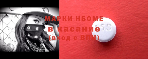 шишки Аркадак