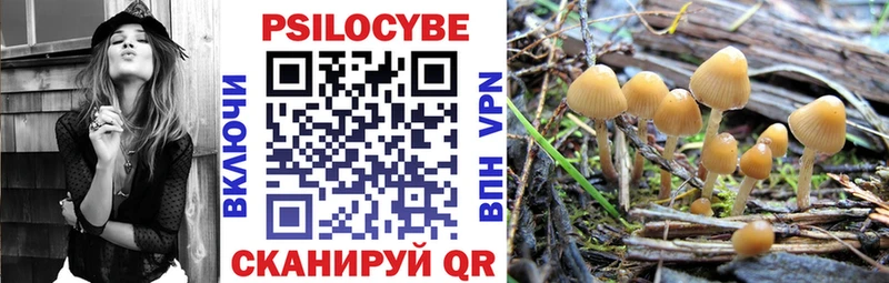 Галлюциногенные грибы GOLDEN TEACHER Бабаево
