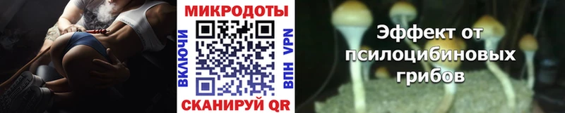 Галлюциногенные грибы GOLDEN TEACHER  МЕГА   это официальный сайт  Бабаево 