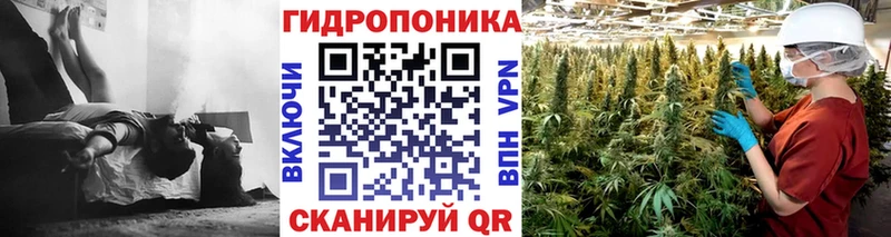 гидра рабочий сайт  как найти   Бабаево  Шишки марихуана White Widow 